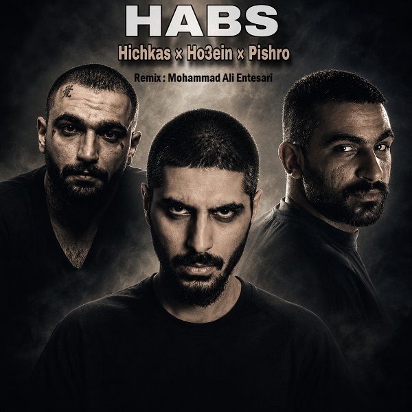 Habs Remix cover picture