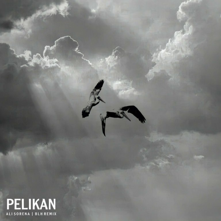 Pelikan_cover_BLHremix