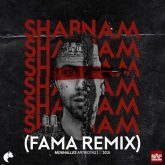 Shabnam_cover_Famaremix