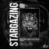 Stargazing_cover_BLHremix