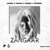 Zangaar_cover_Famaremix