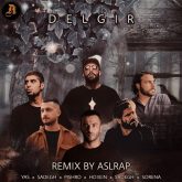 delgir_cover_Aslerapremix