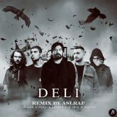 deli_cover_Aslerapremix